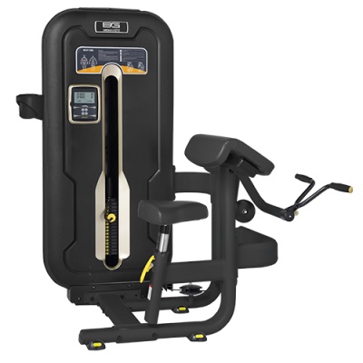    Bronze Gym MZM-006 -      - "  "