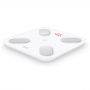 Умные диагностические весы Picooc Mini Pro