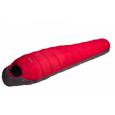   BASK Mustang M Left  -      - "  "