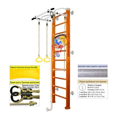    Kampfer Helena Wall Basketball Shield (3  ( )) -      - "  "