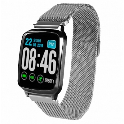   GSMIN WP10 (, ) -      - "  "