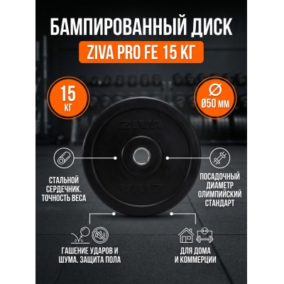 ���� ZIVA Pro F� 15 �� - ������ �� ����������� ���� � ��������-�������� "��� � ����"