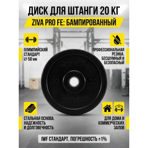 ���� ZIVA Pro F� 20 ��