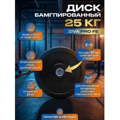 ���� ZIVA Pro F� 25 �� - ������ �� ����������� ���� � ��������-�������� "��� � ����"