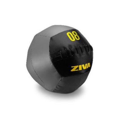  ZIVA Wall Ball ZVO-FTWB-18-01 -      - "  "