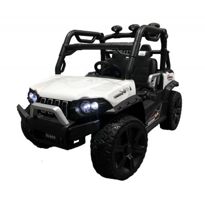  Farfello DLS02   -      - "  "