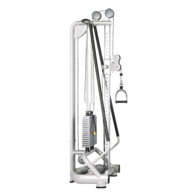  Bronze Gym A9-005B -      - "  "