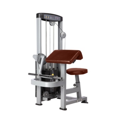    BRONZE GYM D-006 -      - "  "