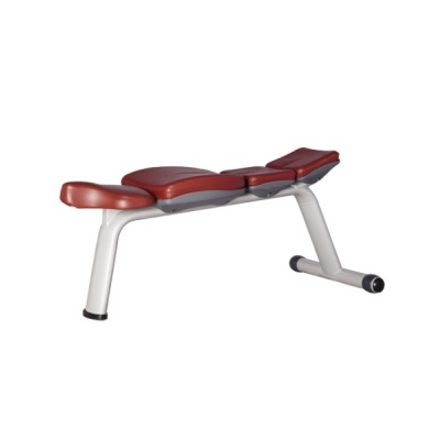   BRONZE GYM H-036A -      - "  "