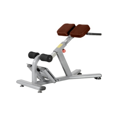  BRONZE GYM J-026 -      - "  "