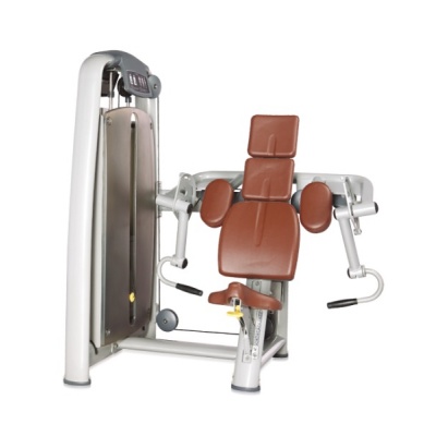    BRONZE GYM A9-006 -      - "  "