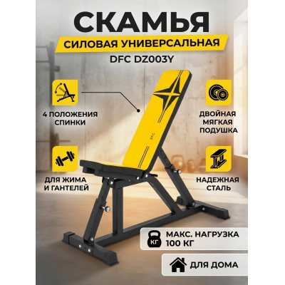 ������������� ������ DFC DZ003Y - ������ �� ����������� ���� � ��������-�������� "��� � ����"