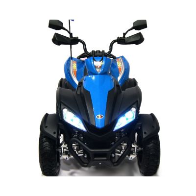 Электроквадроцикл Rivertoys Р222РР синий - купить по специальной цене в интернет-магазине "Уют в доме"