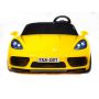   Barty Porshe Cayman YSA021  