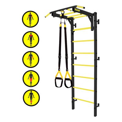 Шведская стенка Kampfer Fort Professional Plus - купить по специальной цене в интернет-магазине "Уют в доме"