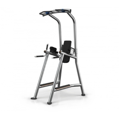 Турник-брусья-пресс Matrix MAGNUM A63C - купить по специальной цене в интернет-магазине "Уют в доме"