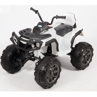  Barty Grizzly 001  -      - "  "