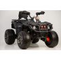 Электроквадроцикл Barty T099MP черный