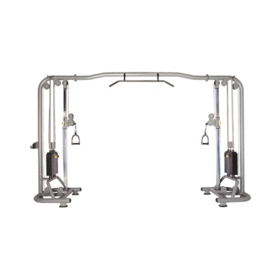  Bronze Gym D-005  -      - "  "