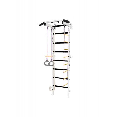    Midzumi Torino -      - "  "