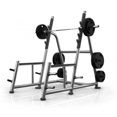     Matrix MAGNUM A81 -      - "  "