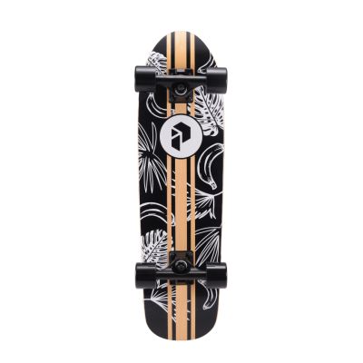 Playshion Plank Tropico -      - "  "