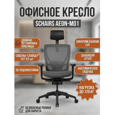 ������ ��� ��������� SCHAIRS AEON-�01� - ������ �� ����������� ���� � ��������-�������� "��� � ����"