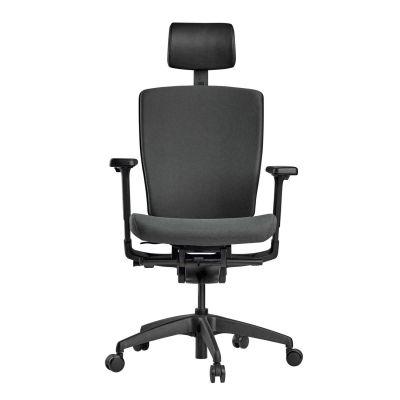    SCHAIRS AEON-P01 -      - "  "