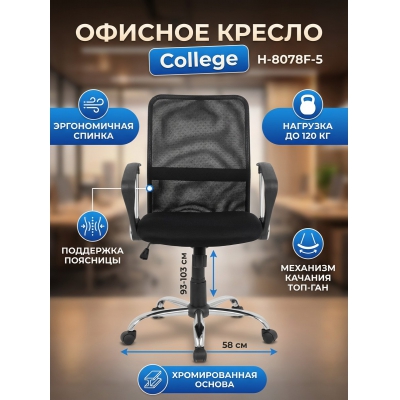 ������ ��� ��������� College H-8078F-5 - ������ �� ����������� ���� � ��������-�������� "��� � ����"