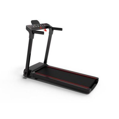     Proxima Afina PROT-217 -      - "  "