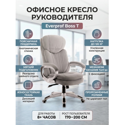 ������ ��� ������������ Everprof Boss T - ������ �� ����������� ���� � ��������-�������� "��� � ����"