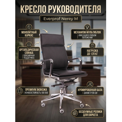 ������ ��� ��������� Everprof Nerey M ������� - ������ �� ����������� ���� � ��������-�������� "��� � ����"