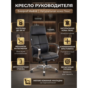 ������ ��� ������������ Everprof Madrid ����