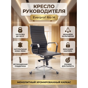 ������ ��� ��������� Everprof Rio � ����