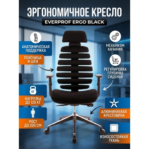 ������������ ������ Everprof Ergo Black �����