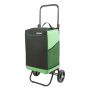 Сумка-тележка Исток Спутник 2 Макси черный/зеленый