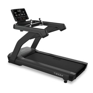 Профессиональная беговая дорожка Bronze Gym T910M