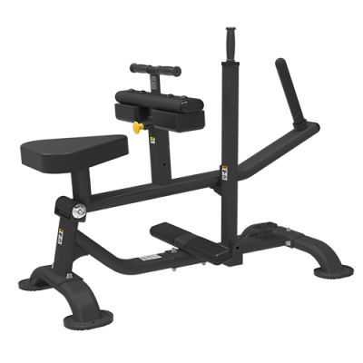   Bronze Gym PL-1719 -      - "  "