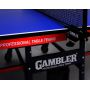 Стол для настольного тенниса Gambler Dragon blue