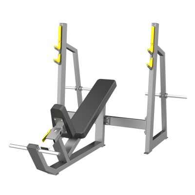      DHZ Olympic Bench Incline -      - "  "