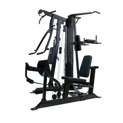  Rebel Warrior+ + -      - "  "