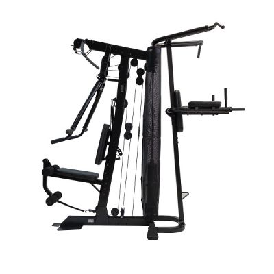  Rebel Warrior+ -      - "  "