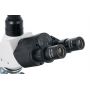 Микроскоп темнопольный тринокулярный Levenhuk 950T DARK