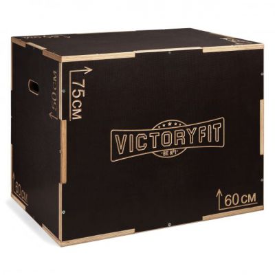     VictoryFit VF-K18 -      - "  "