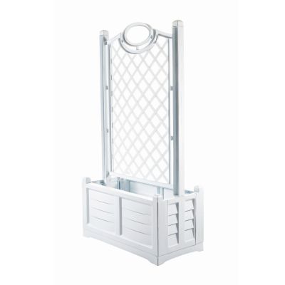    Bama S.p.A. Separe -      - "  "