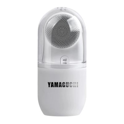  Yamaguchi Anti-Age Skin Care -      - "  "