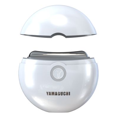  Yamaguchi EMS Face Lifting -      - "  "