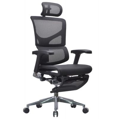    Falto Expert Sail    -      - "  "