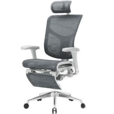    Falto Expert Star   -      - "  "