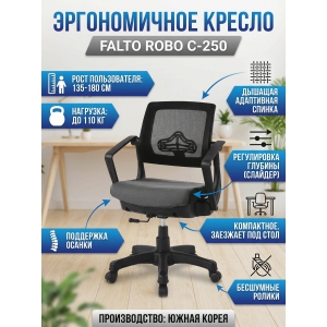 �������������� ������ ��� ��������� Falto Robo �-250 ������ ������